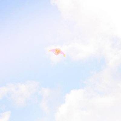 魔道仙师变态版下载